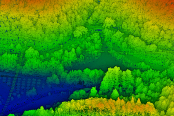 Lidar foret